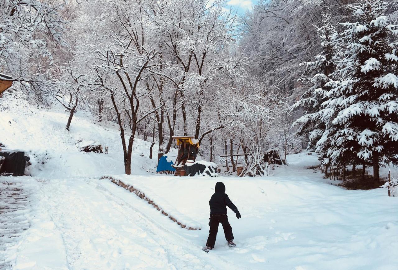 Soho Lodge Rasnov Екстериор снимка