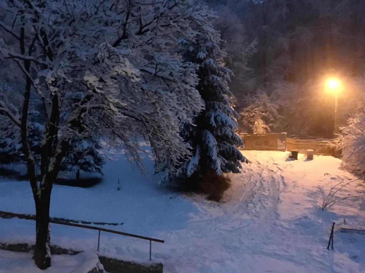 Soho Lodge Rasnov Екстериор снимка