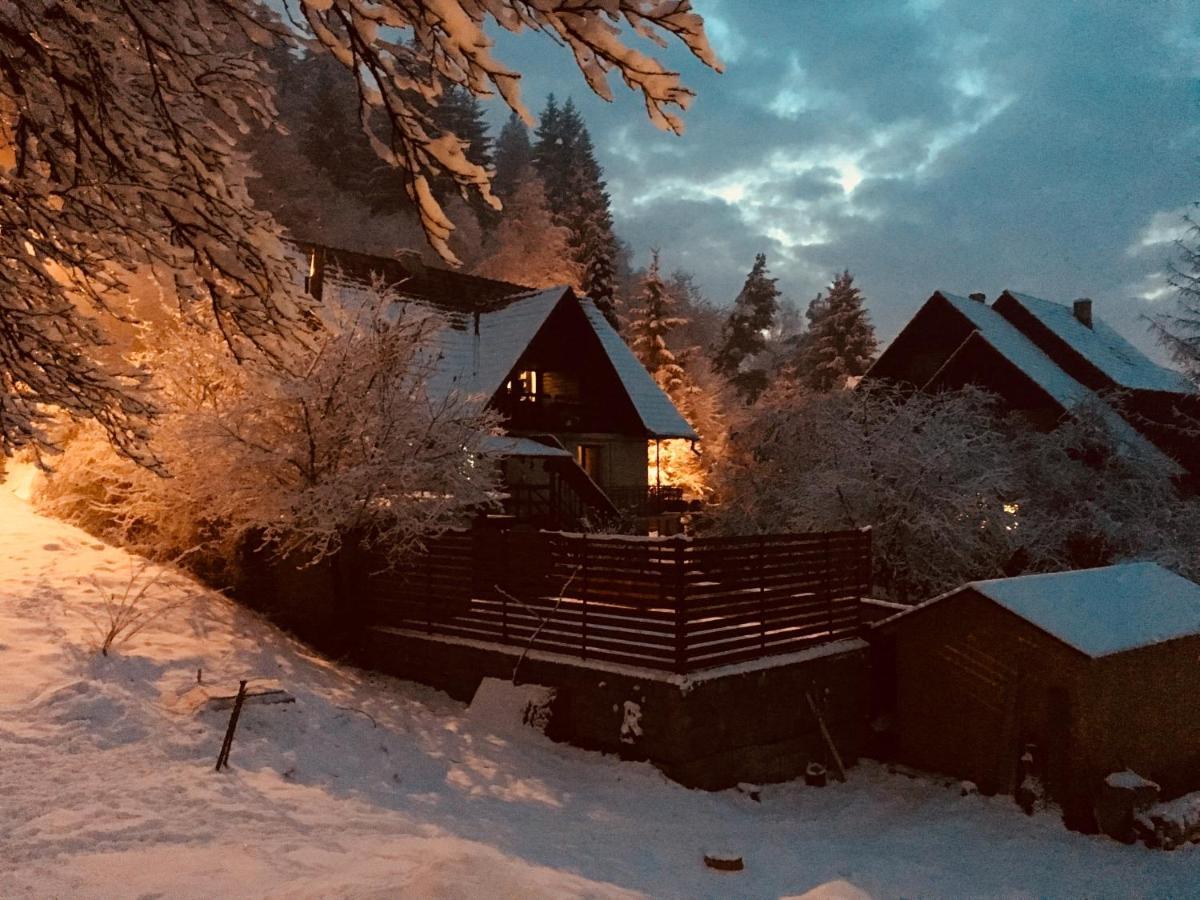 Soho Lodge Rasnov Екстериор снимка