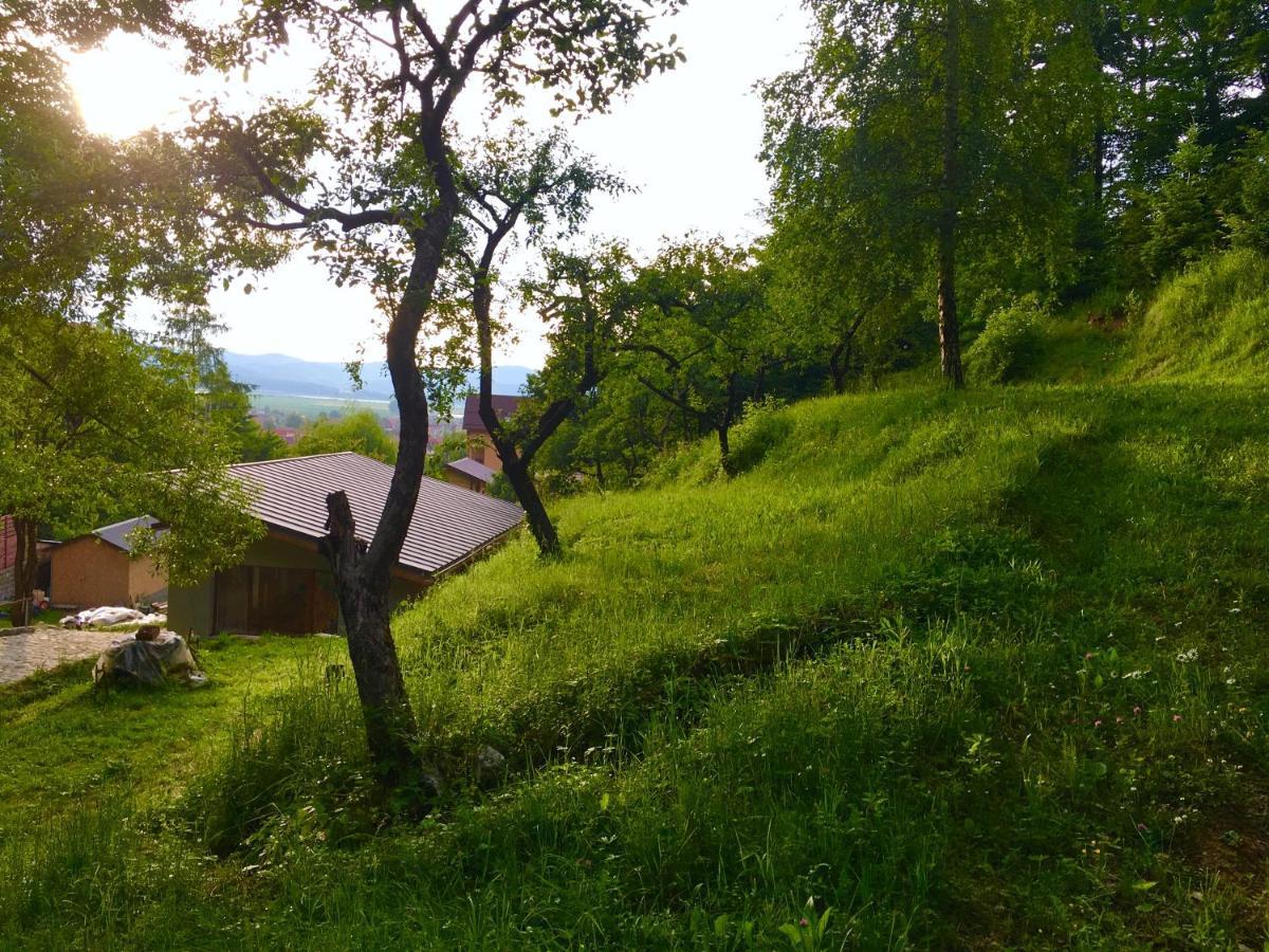 Soho Lodge Rasnov Екстериор снимка