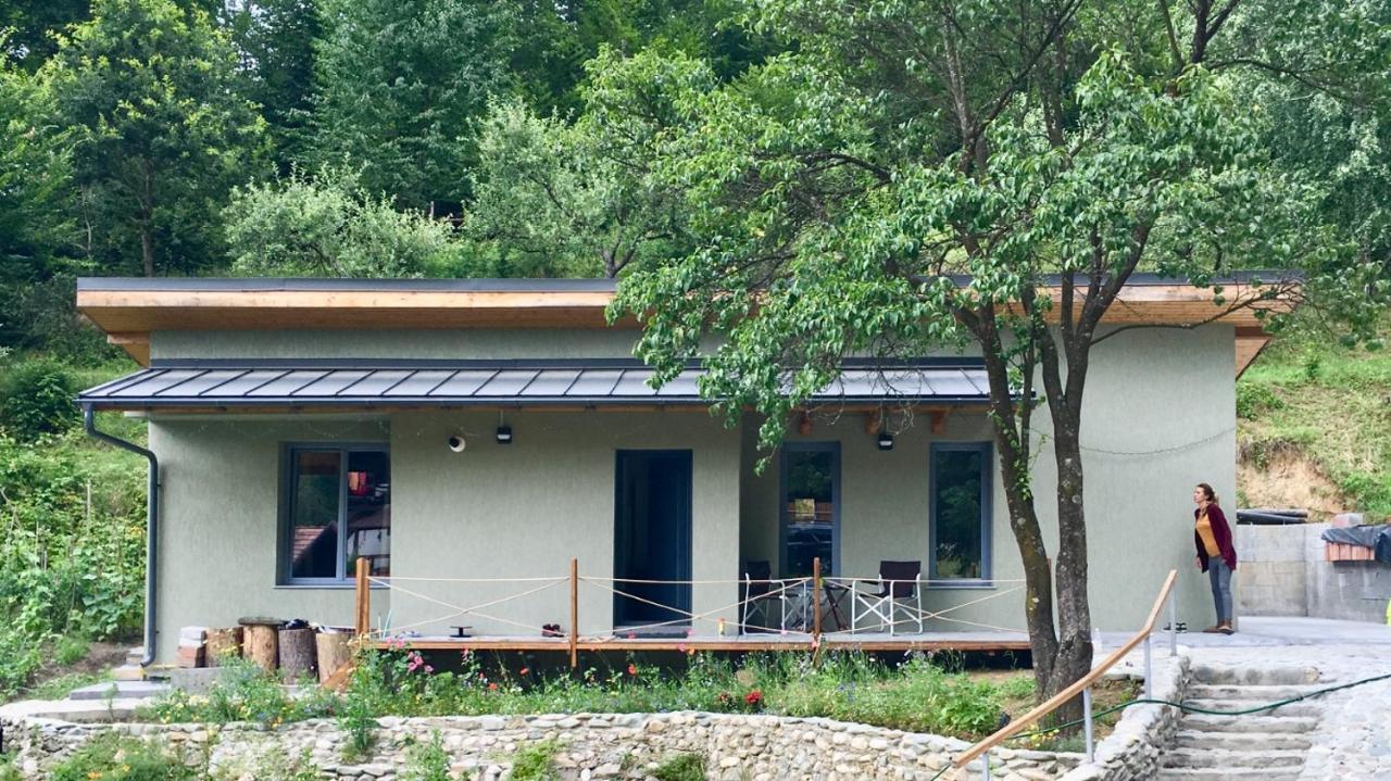 Soho Lodge Rasnov Екстериор снимка