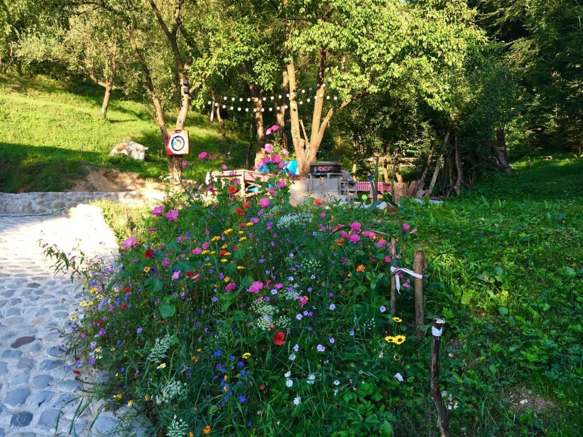 Soho Lodge Rasnov Екстериор снимка