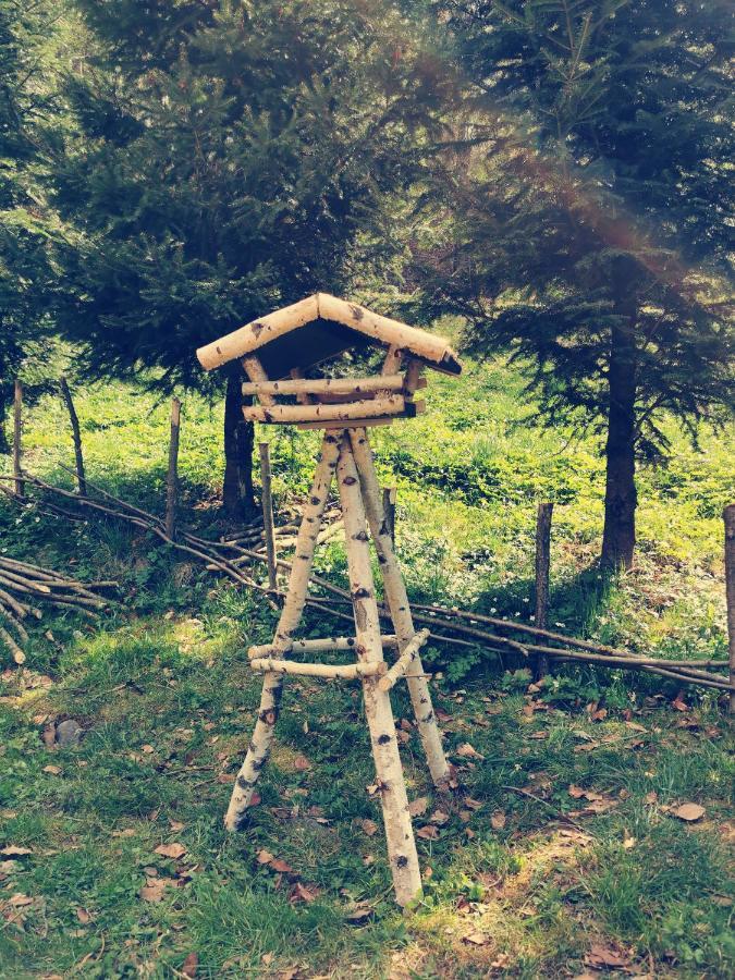Soho Lodge Rasnov Екстериор снимка