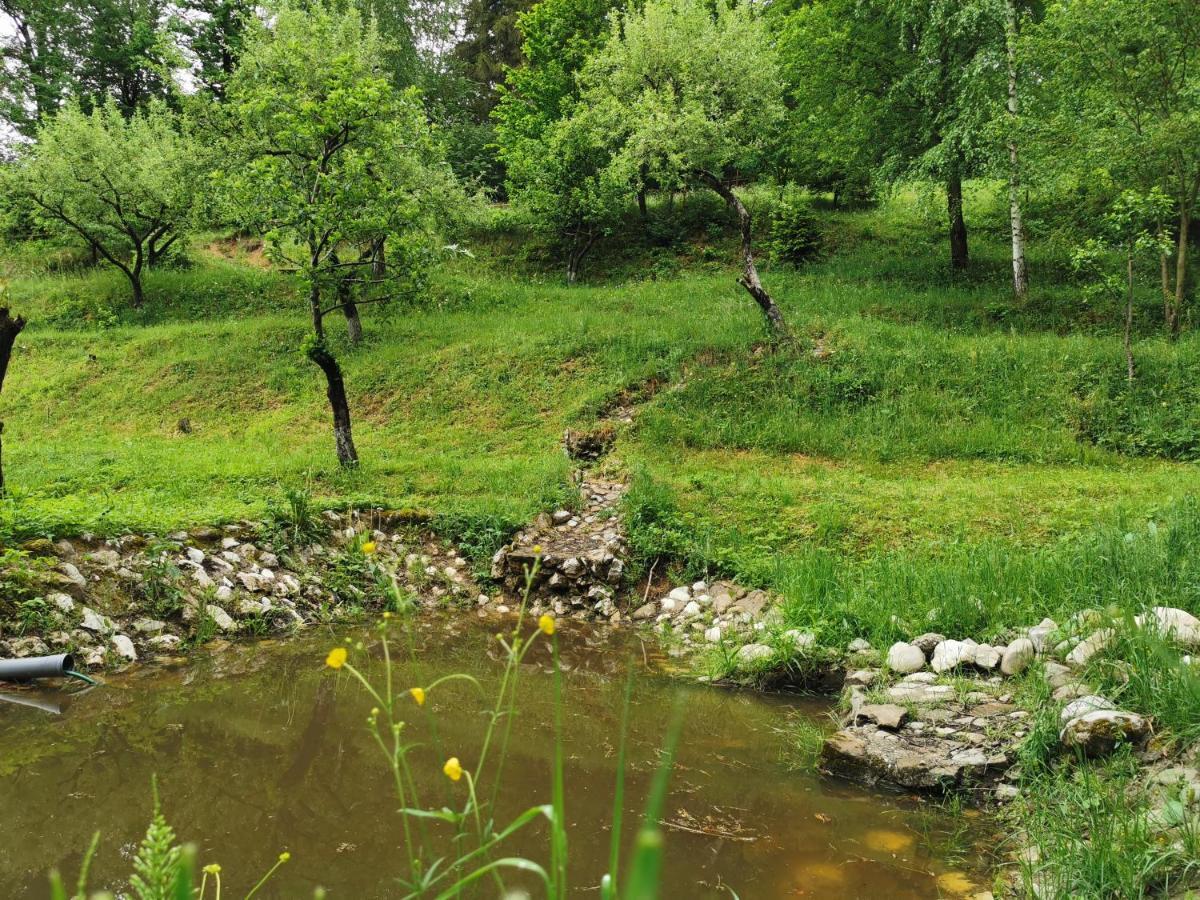 Soho Lodge Rasnov Екстериор снимка