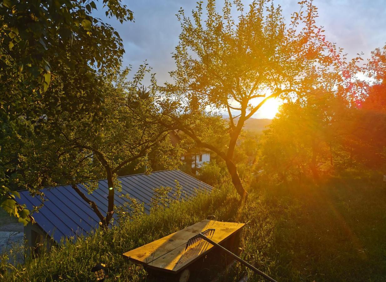 Soho Lodge Rasnov Екстериор снимка