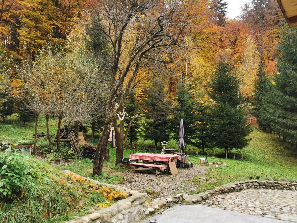 Soho Lodge Rasnov Екстериор снимка