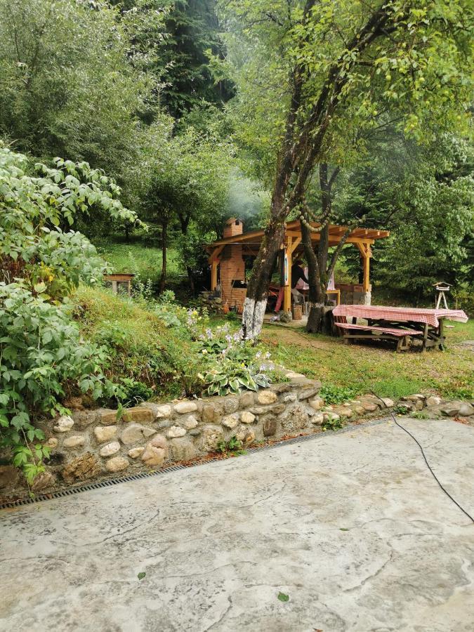 Soho Lodge Rasnov Екстериор снимка