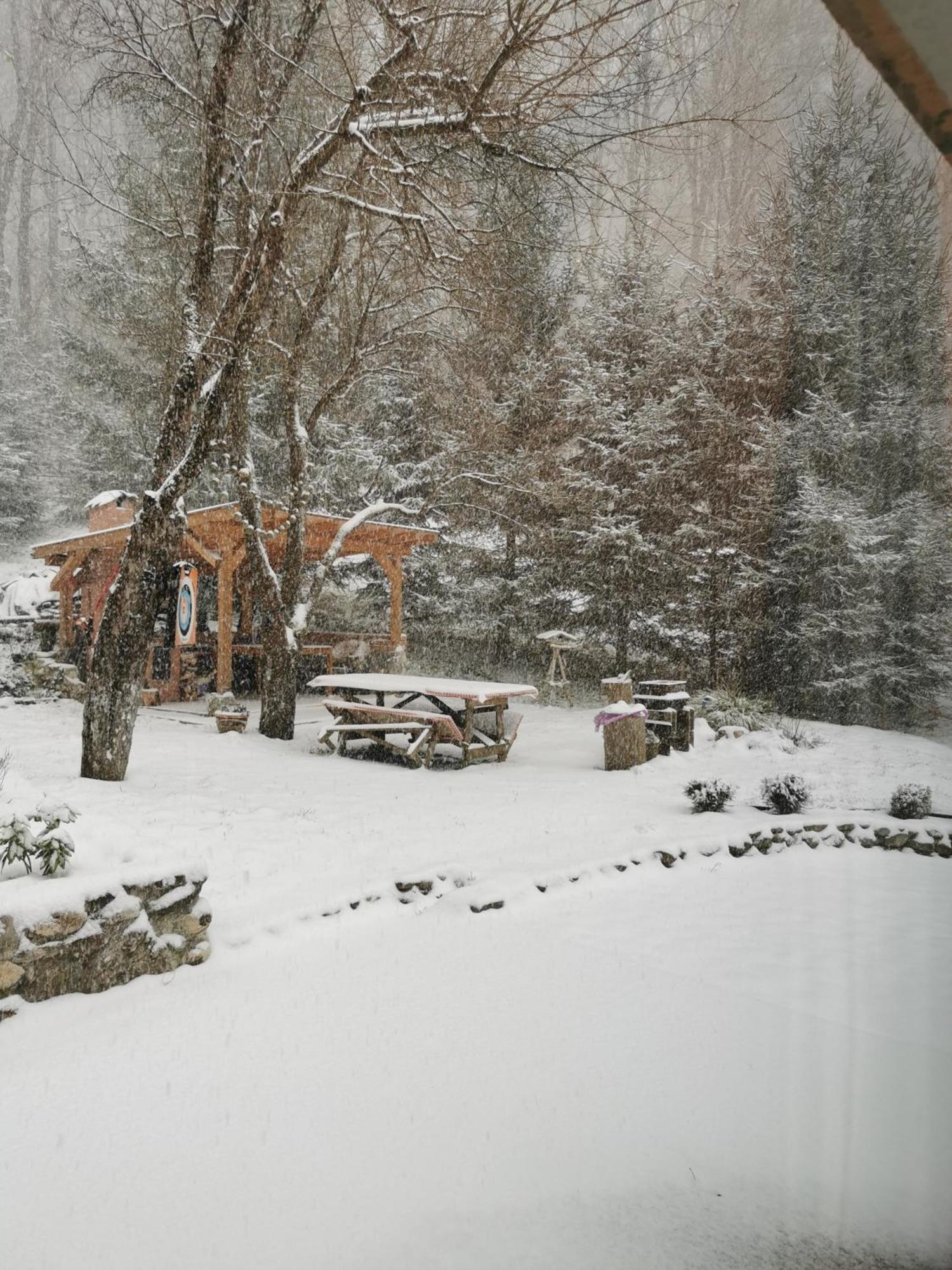 Soho Lodge Rasnov Екстериор снимка